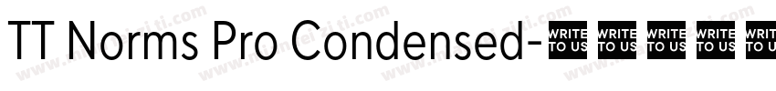 TT Norms Pro Condensed字体转换